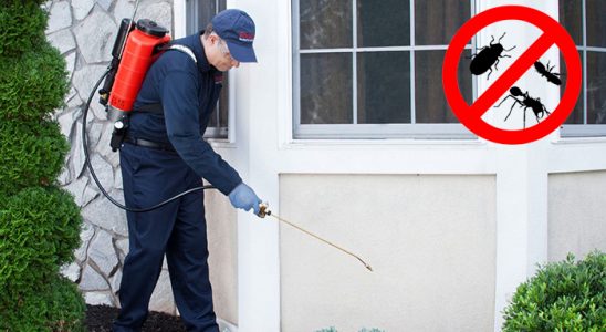 Kaynaklar Bit İlaçlama böcek ilaçlama ve haşere kontrolü — ilaclama-tr.com